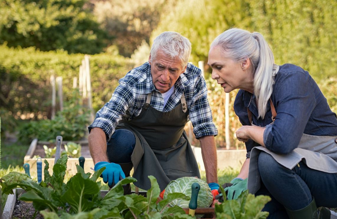 LA JARDINERIA COMO ACTIVIDAD PARA NUESTRAS PERSONAS MAYORES – Jardines sin fronteras